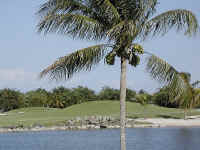 lely_golf2.jpg (140316 bytes)