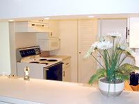 kitchen1.jpg (43036 bytes)